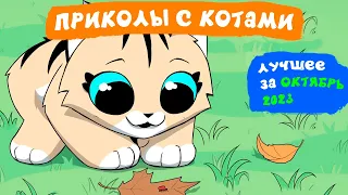 Приколы с котами. ЛУЧШЕЕ ЗА ОКТЯБРЬ 2023 | Мемозг