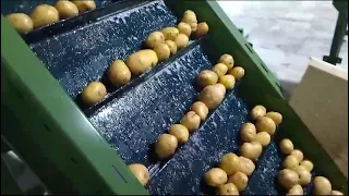 обработка овощей картофеля оборудование линия