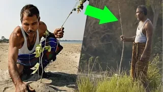 This Guy Spent 40 Years Planting a Tree Every Day on a Remote Island !