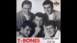 T- Bones - No Matter What Shape 1966