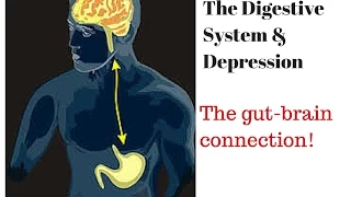 Digestive System and Depression