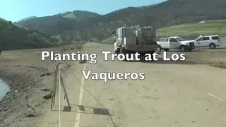 Stocking fish at Los Vaqueros Reservoir