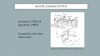 Nuclear medicine  hepatobiliary, liver and spleen