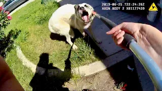 Animal Control Officer Catches Aggressive Great Pyrenees