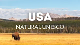 Top 10 Natural UNESCO World Heritage Sites in the USA | Travel Video