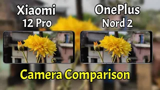 Xiaomi 12 Pro VS OnePlus Nord 2 Camera Comparison | Xiaomi 12 Pro Camera Review