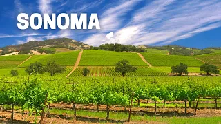 Sonoma California - a wine paradise | Travel Guide