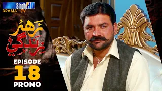 Zahar Zindagi - Ep 18 Promo | Sindh TV Soap Serial | SindhTVHD Drama