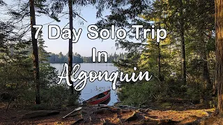 7-Day Solo Canoe Trip in Algonquin Park