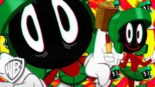 Looney Tunes em Português | Brasil | Encontro de Pernalonga e Lola | WB Kids
