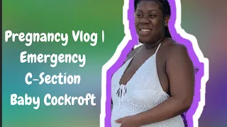 Pregnancy Vlog | C SECTION & NICU  Experience