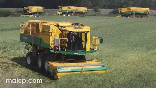 Harvest 2022: Anglian Pea Growers vining peas in Blaxhall, Suffolk. Ploeger PMC 1189 1089 harvesters