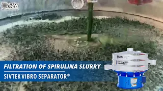 Spirulina Slurry filtration with the Galaxy Sivtek vibro separator.