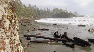 Sneaker Waves Surge at Tofino's Cox Bay - Full Two Minute Clip