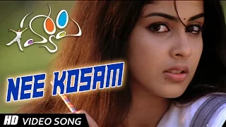 Nee Kosam - Melodious Full Video Song || Happy Movie || Allu Arjun, Genelia ||