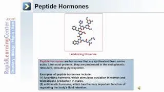 The Endocrine System - Part 1 of 3