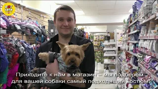 Как подобрать комбинезон для собаки