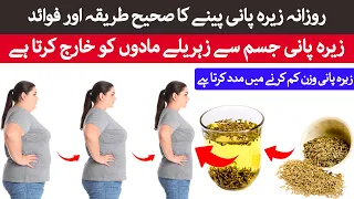 Rozana Jeera Water Peene Ke Fayde | Cumin Seeds Water Benefits