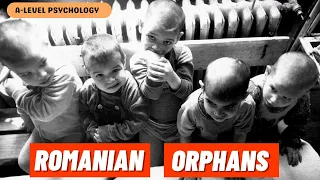 What HAPPENED to the Romanian Orphans?