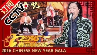 2016 Chinese New Year Spring Festival Gala Tan Weiwei Performance丨CCTV春晚