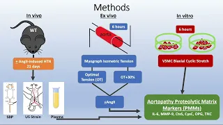 VESS 2023 Winter Meeting Session 2 Talk 7