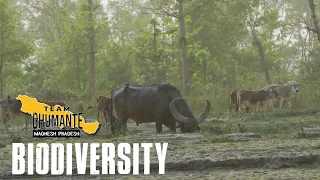 Team Ghumante - Biodiversity | मधेश प्रदेश | Imagine Nepal