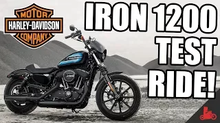 IRON 1200 Test Ride! - 2018 Harley-Davidson Sportster