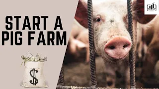 How to Start a Pig Farm Business Successfully | Guide to Starting a Pig Farm Business