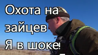 Охота на зайцев - Я в шоке...