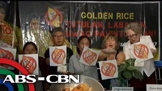 Bandila: Kampanya kontra 'golden rice', inilunsad