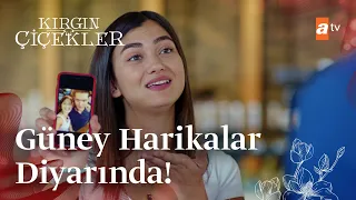 Songül ve Güney aşkı bitiyor mu? | Kırgın Çiçekler Mix Sahneler