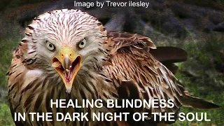HEALING YOUR BLINDNESS IN THE DARK NIGHT OF THE SOUL