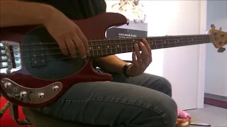 Red Hot Chili Peppers - Love Rollercoaster - Bass