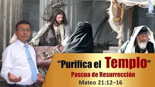 PASCUA DE RESURRECCIÓN / LA PURIFICACION DEL TEMPLO / MATEO 21:12-16 / EPISODIO 2