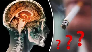 Mysteries Behind Smoking and Drinking - Why the Addiction?