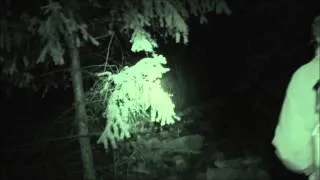 8 to 9 foot tall Bigfoot Eyeshine? Rock clacking & vocalizations