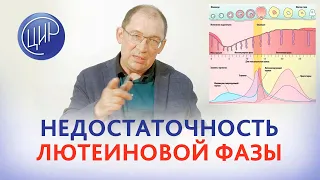 Недостаточность лютеиновой фазы: как определить по анализам и что делать. И.И. Гузов.