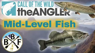 Beginner's Guide: Best Fish and Locations for levels 10-20 on Golden Ridge Reserve!!
