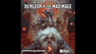 Roll20 Review - Waterdeep: Dungeon of the Mad Mage