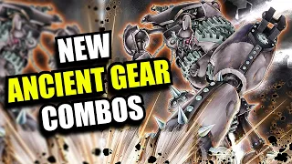 Yu-Gi-Oh! NEW Ancient Gear Combos Post Legacy of Destruction!