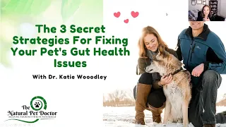 How To Fix Your Pet's Gut Health Naturally - Holistic Vet Advice