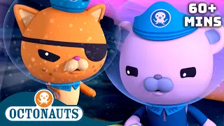 ​@Octonauts - 🌈 Rainbow Sea 🌊 | 60 Mins+ Compilation | Underwater Sea Education