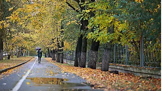 Музыка и легкий дождь поднимут ваше сердце ☔️ Вдохновляющие цитаты #22