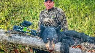 Pennsylvania Archery Black Bear Hunt!!