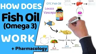 How Does Fish Oil Work? (+ Pharmacology)