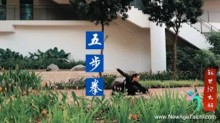 基本武术套路五步拳教程 WuBu Quan Tutorial
