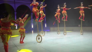 Моноциклы.  Unicycles with bowls. China