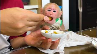 Bibi obediently ate dinner with his family a lot of love!