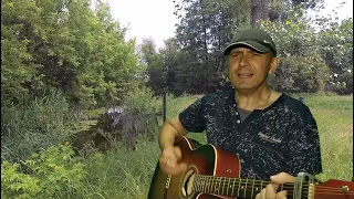 Одинокий мужичок за 50... Дмитрий Василевский (cover version Vitalii Pelykh под гитару) гитара...