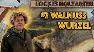 Wood Mizer VS Sandstein   Lockes Holzarten #2 Walnusswurzel Holzkunst Scholz Offiziell